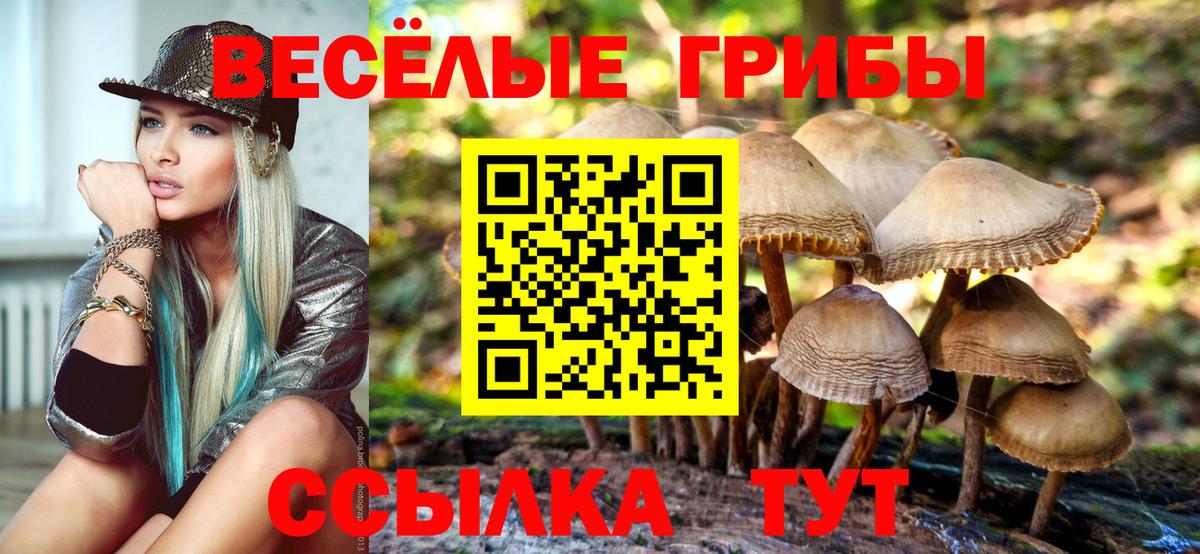 Видное  Галлюциногенные грибы Psilocybine cubensis  Вход с VPN  Псилоцибиновые грибы мухоморы 