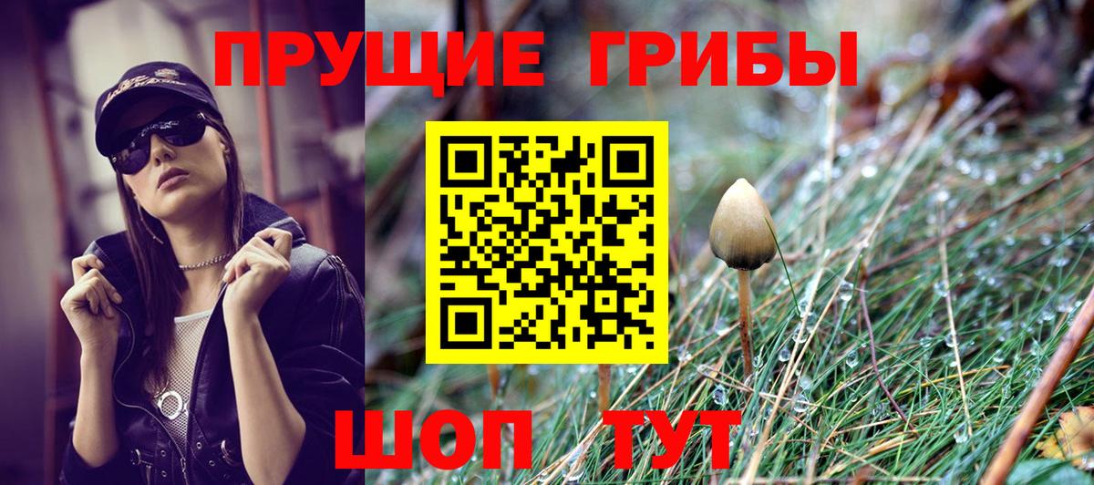 Псилоцибиновые грибы прущие грибы Видное